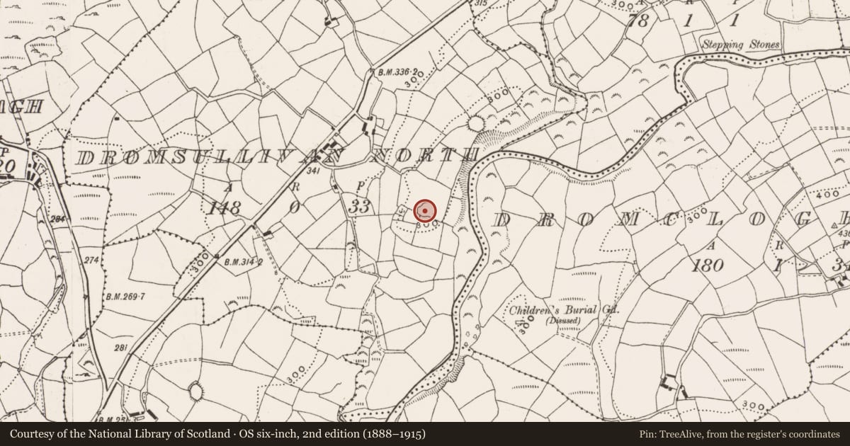Ordnance Survey six-inch map, 2nd edition (1888–1915) covering the location of Ringfort - rath, Dromsullivan North, County Cork, with a pin at the register's coordinates