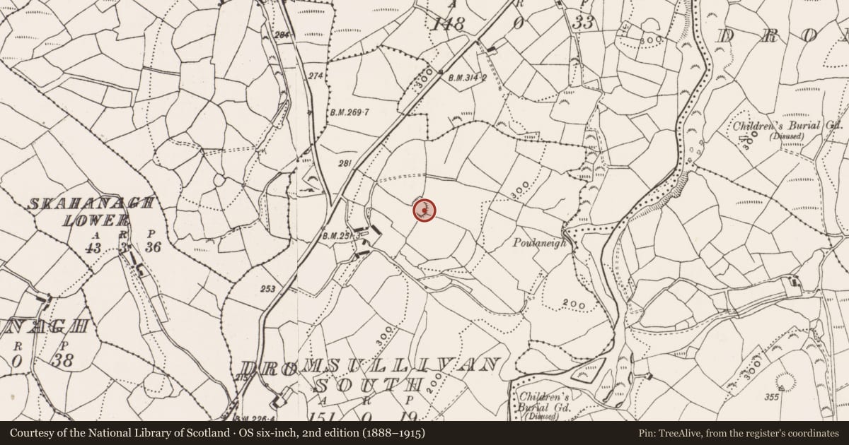 Ordnance Survey six-inch map, 2nd edition (1888–1915) covering the location of Ringfort - rath, Dromsullivan South, County Cork, with a pin at the register's coordinates