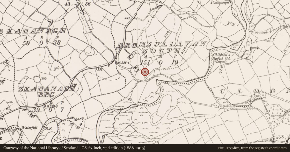 Ordnance Survey six-inch map, 2nd edition (1888–1915) covering the location of Ringfort - rath, Dromsullivan South, County Cork, with a pin at the register's coordinates