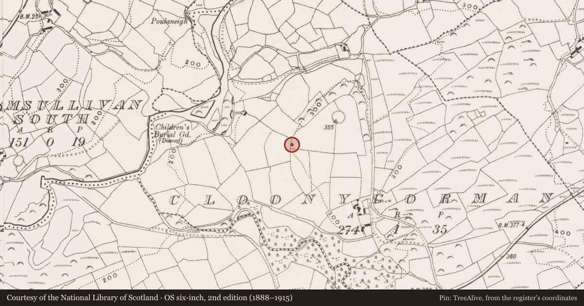Ordnance Survey six-inch map, 2nd edition (1888–1915) covering the location of Standing stone, Cloonygorman, County Cork, with a pin at the register's coordinates