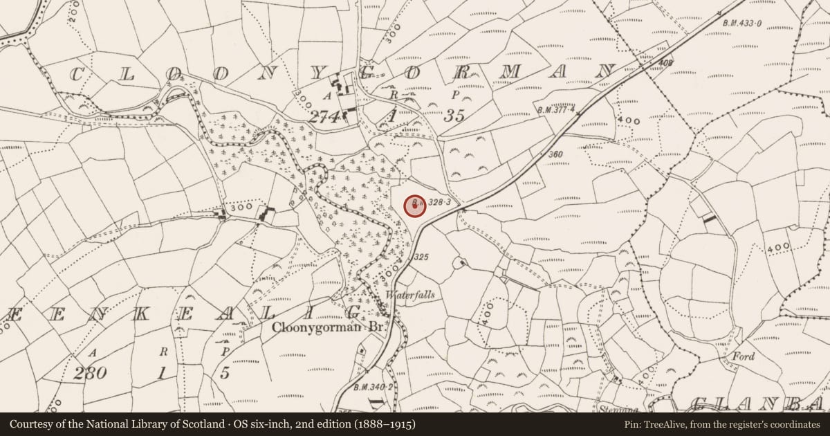 Ordnance Survey six-inch map, 2nd edition (1888–1915) covering the location of Standing stone, Cloonygorman, County Cork, with a pin at the register's coordinates