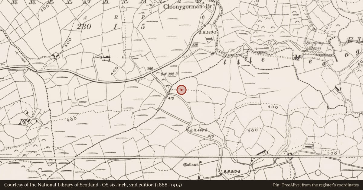 Ordnance Survey six-inch map, 2nd edition (1888–1915) covering the location of Standing stone, Glanbannoo Upper, County Cork, with a pin at the register's coordinates