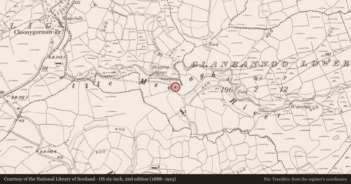 Ordnance Survey six-inch map, 2nd edition (1888–1915) covering the location of Ringfort - rath, Glanbannoo Lower, County Cork, with a pin at the register's coordinates