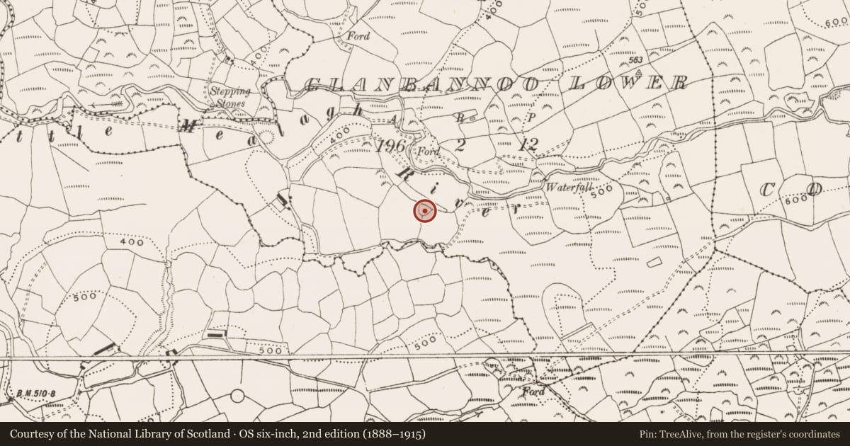 Ordnance Survey six-inch map, 2nd edition (1888–1915) covering the location of Ringfort - rath, Glanbannoo Lower, County Cork, with a pin at the register's coordinates