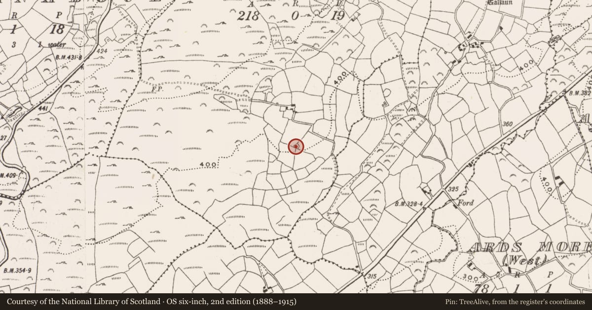 Ordnance Survey six-inch map, 2nd edition (1888–1915) covering the location of Enclosure, Derryarkane, County Cork, with a pin at the register's coordinates
