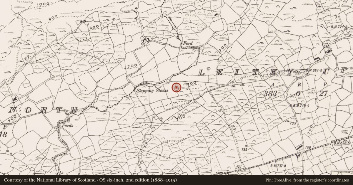Ordnance Survey six-inch map, 2nd edition (1888–1915) covering the location of Enclosure, Leitry Upper, County Cork, with a pin at the register's coordinates