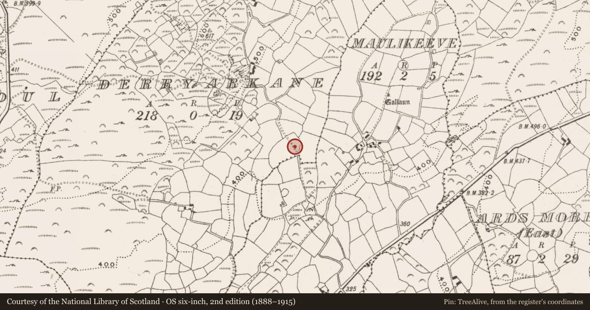 Ordnance Survey six-inch map, 2nd edition (1888–1915) covering the location of Standing stone, Derryarkane, County Cork, with a pin at the register's coordinates