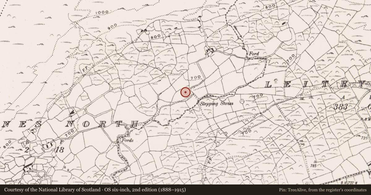 Ordnance Survey six-inch map, 2nd edition (1888–1915) covering the location of Standing stone, Garranes North, County Cork, with a pin at the register's coordinates