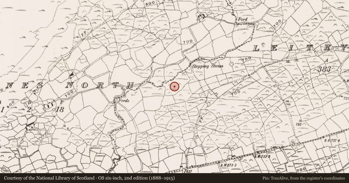 Ordnance Survey six-inch map, 2nd edition (1888–1915) covering the location of Standing stone, Leitry Upper, County Cork, with a pin at the register's coordinates