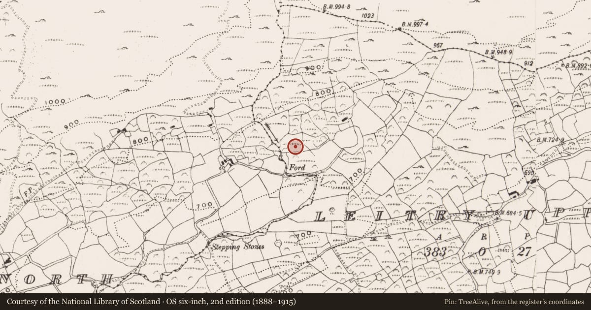Ordnance Survey six-inch map, 2nd edition (1888–1915) covering the location of Standing stone, Leitry Upper, County Cork, with a pin at the register's coordinates