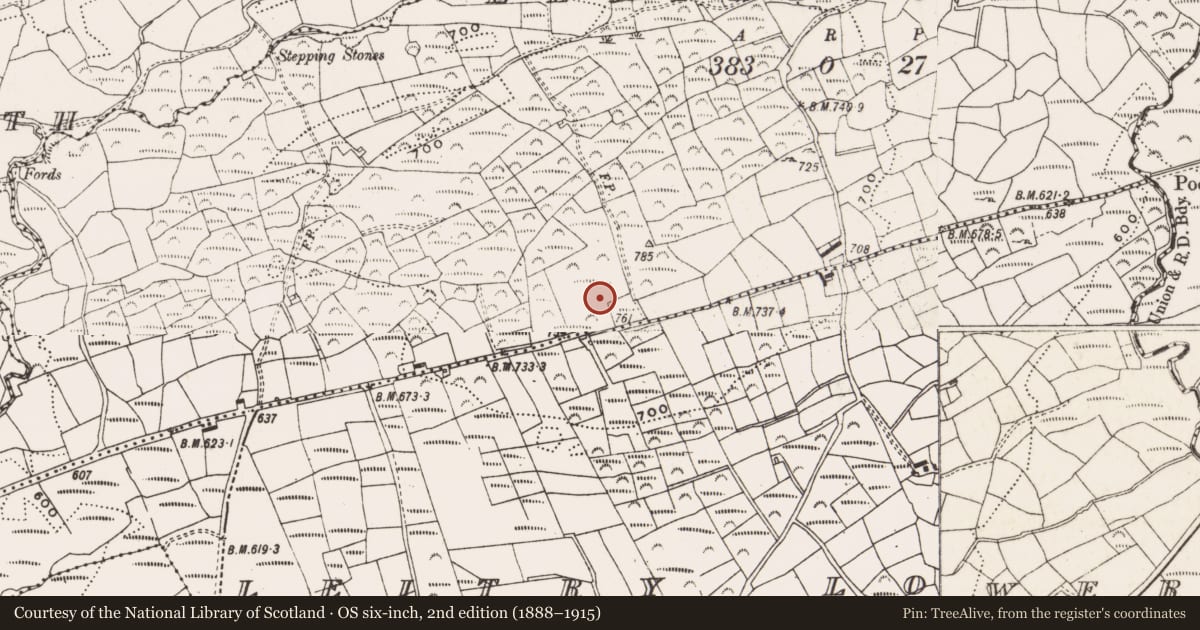 Ordnance Survey six-inch map, 2nd edition (1888–1915) covering the location of Megalithic tomb - wedge tomb, Leitry Upper, County Cork, with a pin at the register's coordinates