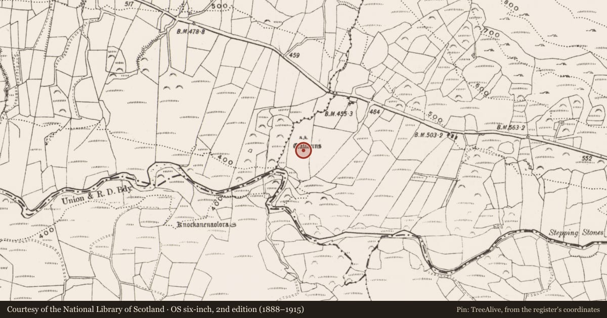 Ordnance Survey six-inch map, 2nd edition (1888–1915) covering the location of Ogham stone, Coomleagh East, County Cork, with a pin at the register's coordinates