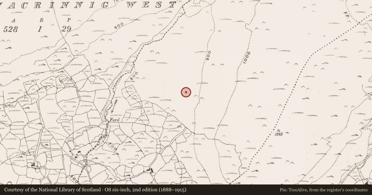 Ordnance Survey six-inch map, 2nd edition (1888–1915) covering the location of Standing stone, Derreenacrinnig East, County Cork, with a pin at the register's coordinates