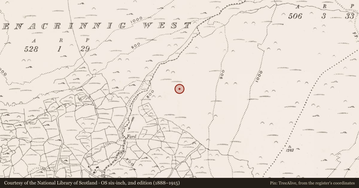Ordnance Survey six-inch map, 2nd edition (1888–1915) covering the location of Enclosure, Derreenacrinnig East, County Cork, with a pin at the register's coordinates