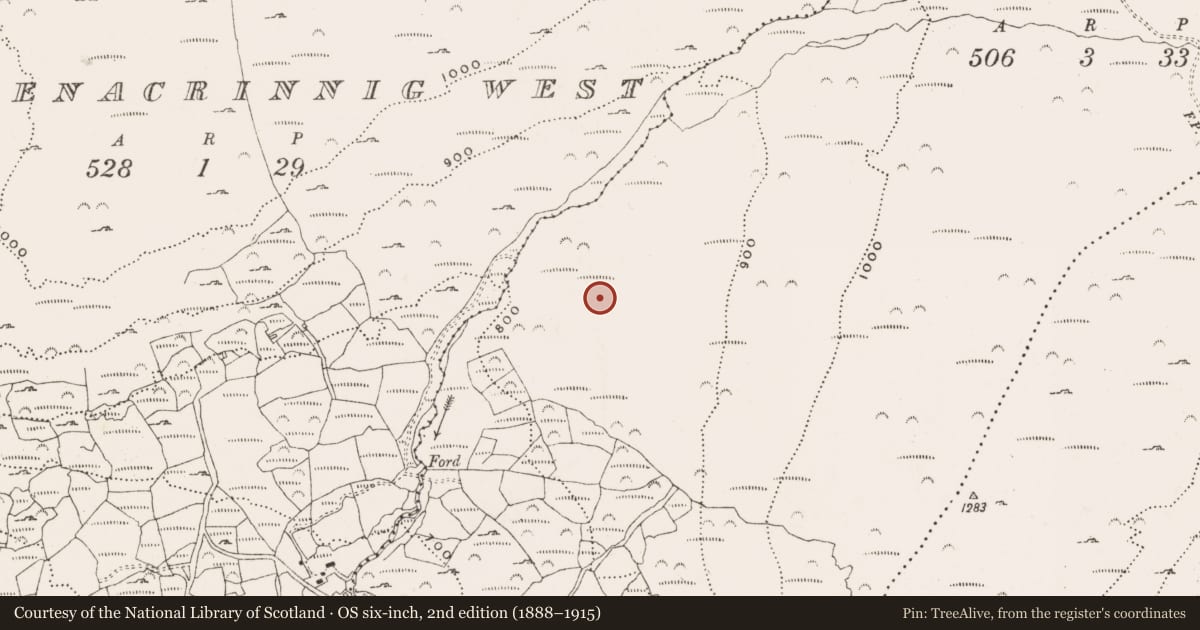 Ordnance Survey six-inch map, 2nd edition (1888–1915) covering the location of Hut site, Derreenacrinnig East, County Cork, with a pin at the register's coordinates