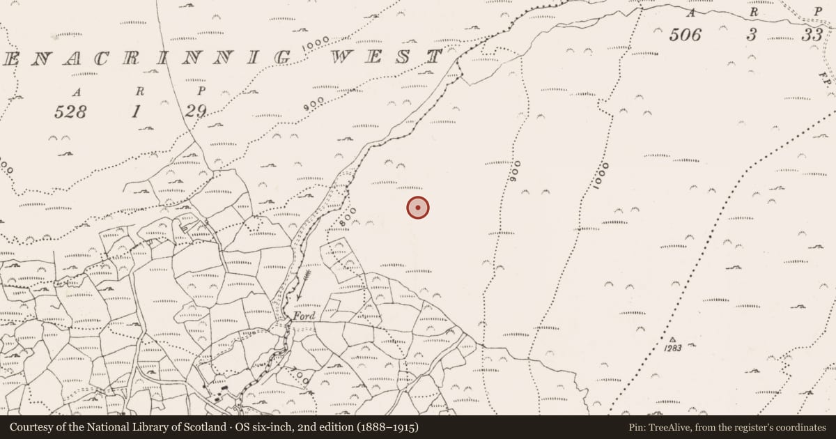 Ordnance Survey six-inch map, 2nd edition (1888–1915) covering the location of Hut site, Derreenacrinnig East, County Cork, with a pin at the register's coordinates