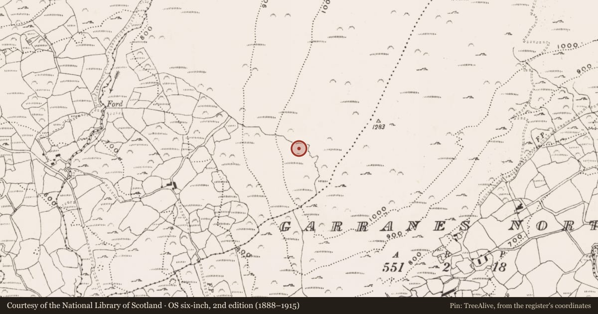 Ordnance Survey six-inch map, 2nd edition (1888–1915) covering the location of Hut site, Derreenacrinnig East, County Cork, with a pin at the register's coordinates