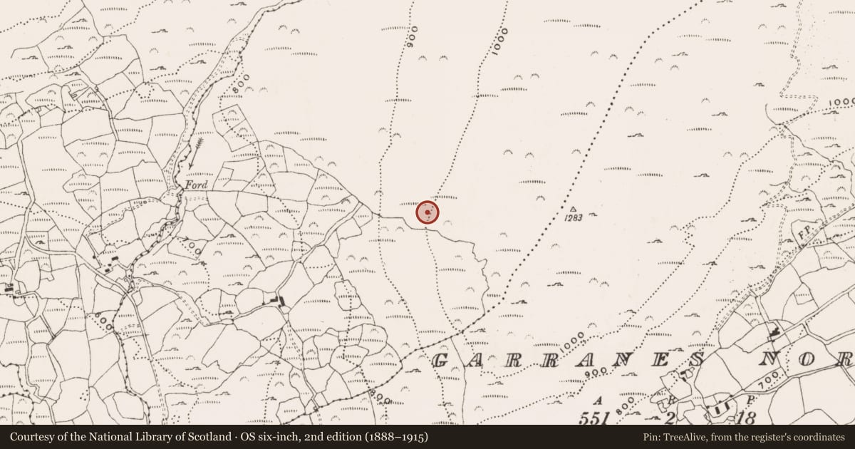Ordnance Survey six-inch map, 2nd edition (1888–1915) covering the location of Hut site, Derreenacrinnig East, County Cork, with a pin at the register's coordinates