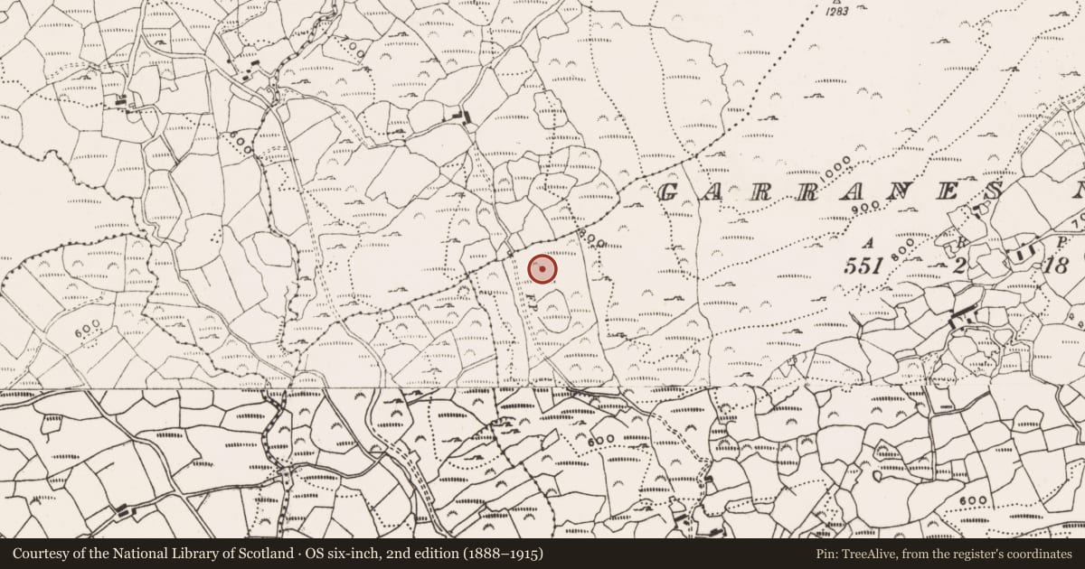Ordnance Survey six-inch map, 2nd edition (1888–1915) covering the location of House - vernacular house, Garranes North, County Cork, with a pin at the register's coordinates