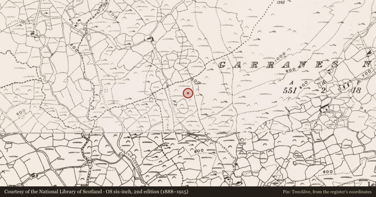 Ordnance Survey six-inch map, 2nd edition (1888–1915) covering the location of Field boundary, Garranes North, County Cork, with a pin at the register's coordinates