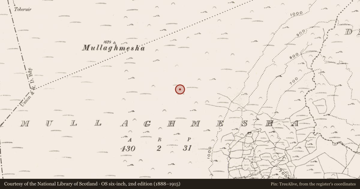 Ordnance Survey six-inch map, 2nd edition (1888–1915) covering the location of Hut site, Mullaghmesha, County Cork, with a pin at the register's coordinates