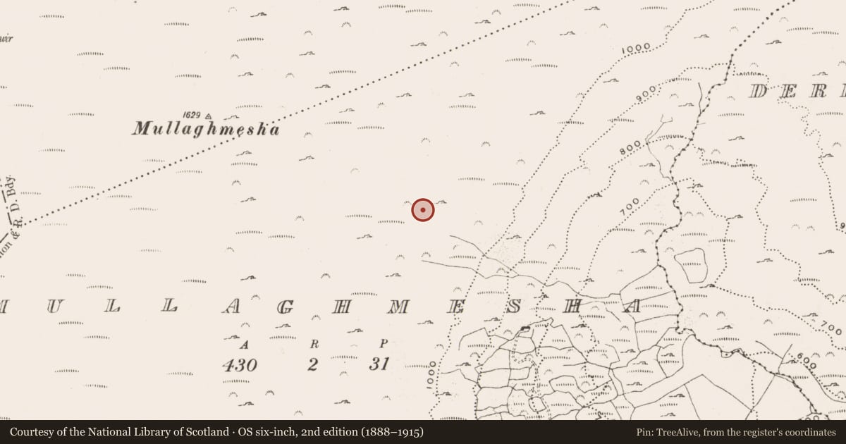 Ordnance Survey six-inch map, 2nd edition (1888–1915) covering the location of Hut site, Mullaghmesha, County Cork, with a pin at the register's coordinates