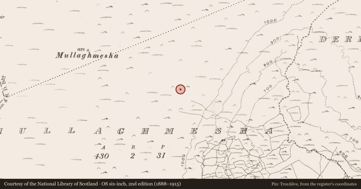 Ordnance Survey six-inch map, 2nd edition (1888–1915) covering the location of Hut site, Mullaghmesha, County Cork, with a pin at the register's coordinates