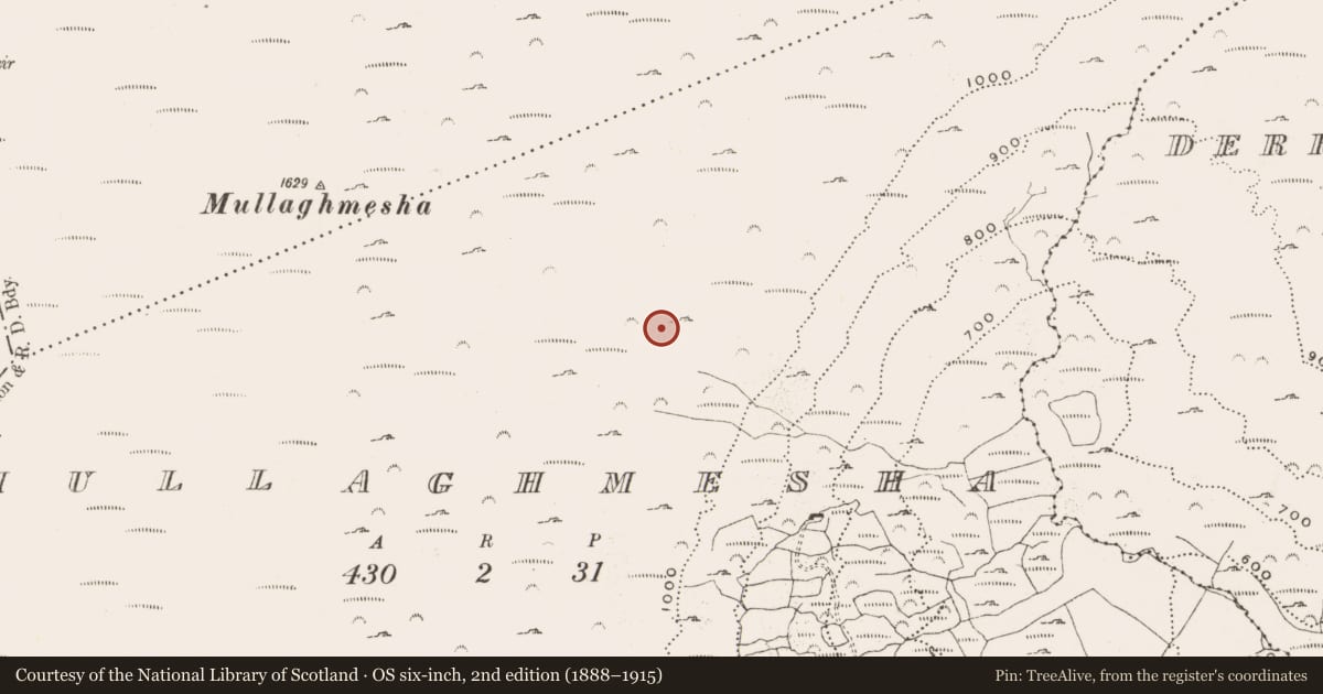 Ordnance Survey six-inch map, 2nd edition (1888–1915) covering the location of Hut site, Mullaghmesha, County Cork, with a pin at the register's coordinates