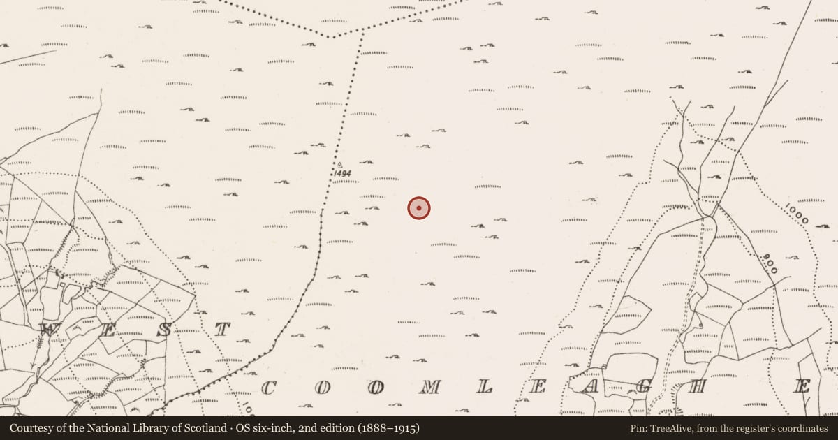 Ordnance Survey six-inch map, 2nd edition (1888–1915) covering the location of Hut site, Coomleagh East, County Cork, with a pin at the register's coordinates