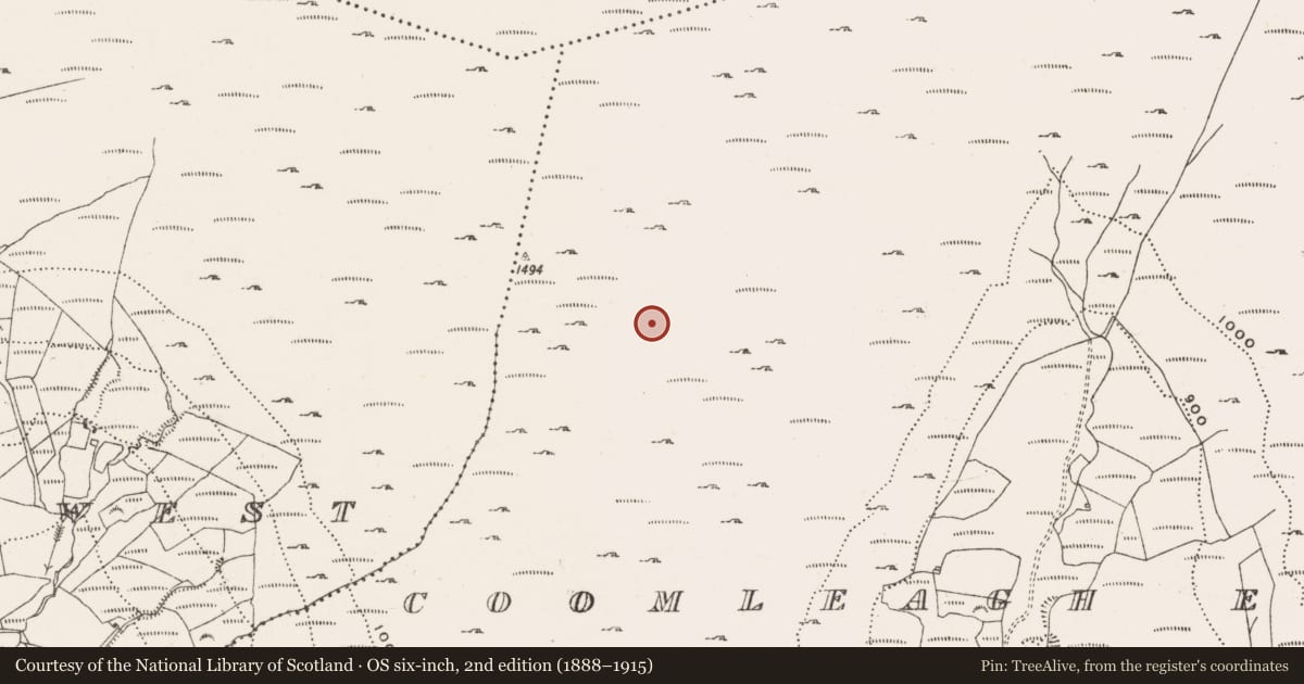 Ordnance Survey six-inch map, 2nd edition (1888–1915) covering the location of Hut site, Coomleagh East, County Cork, with a pin at the register's coordinates