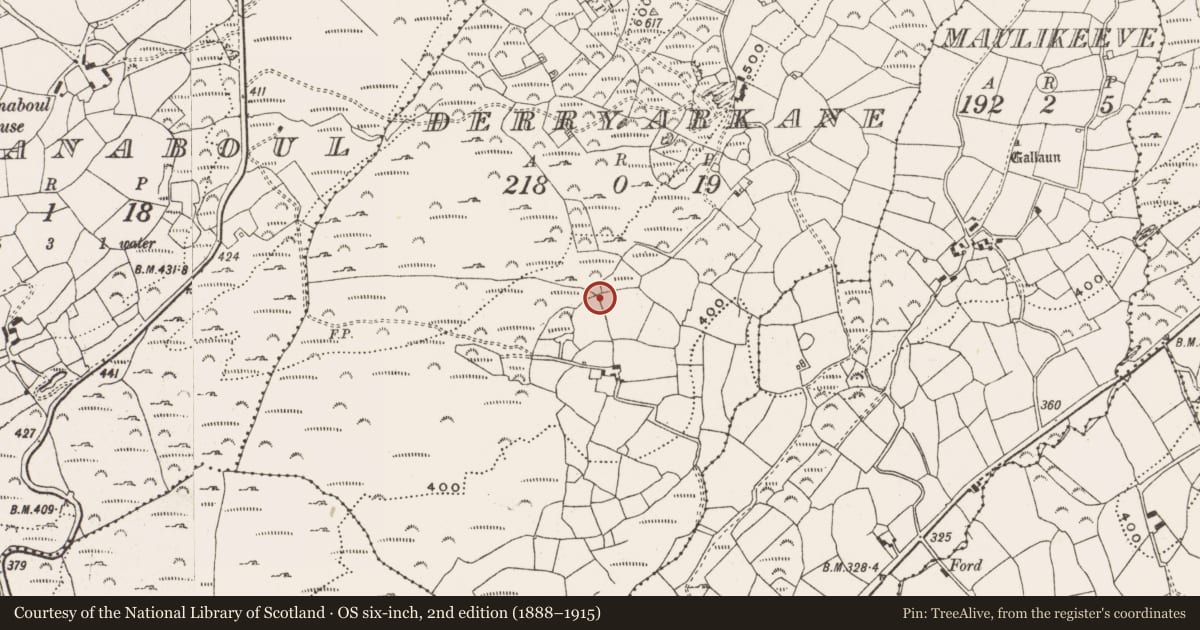 Ordnance Survey six-inch map, 2nd edition (1888–1915) covering the location of Standing stone, Derryarkane, County Cork, with a pin at the register's coordinates