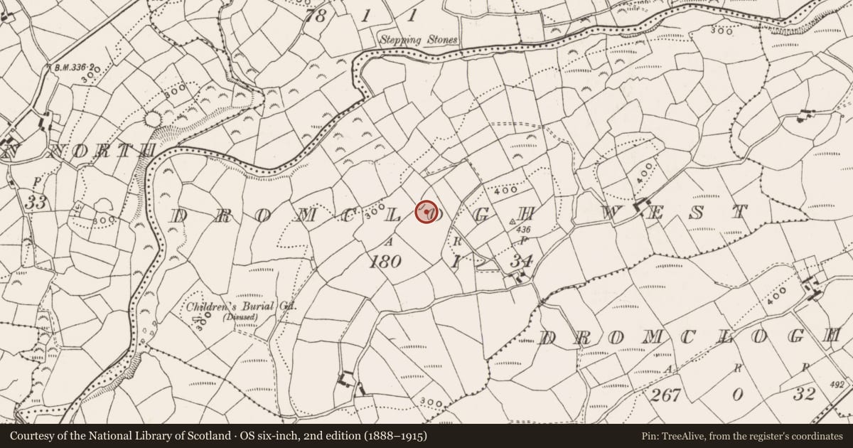 Ordnance Survey six-inch map, 2nd edition (1888–1915) covering the location of Standing stone - pair, Dromclogh West, County Cork, with a pin at the register's coordinates