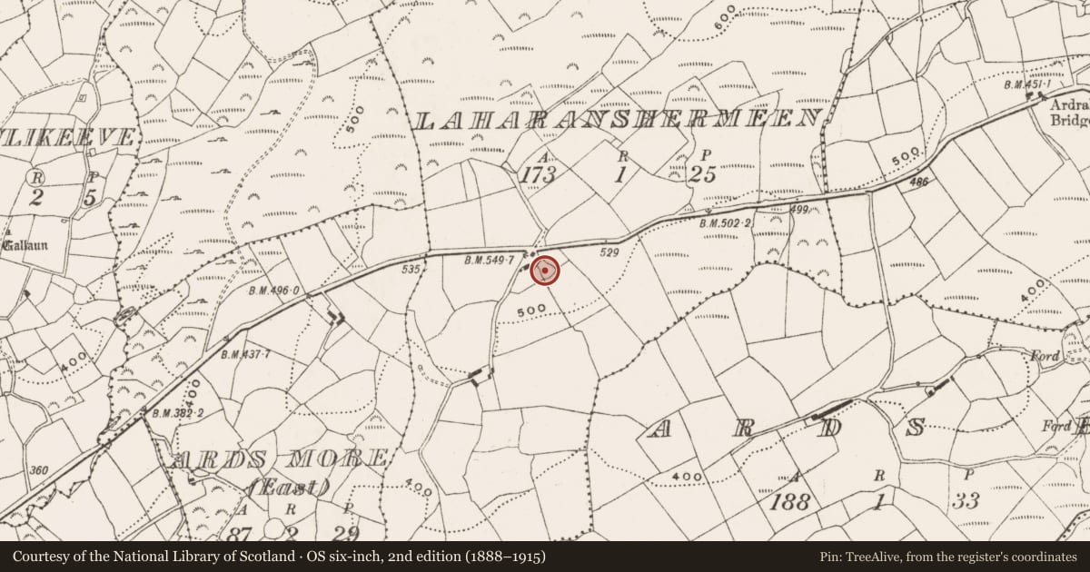 Ordnance Survey six-inch map, 2nd edition (1888–1915) covering the location of Ringfort - rath, Laharanshermeen, County Cork, with a pin at the register's coordinates