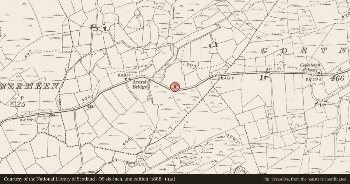 Ordnance Survey six-inch map, 2nd edition (1888–1915) covering the location of Mass-rock, Ardrah, County Cork, with a pin at the register's coordinates