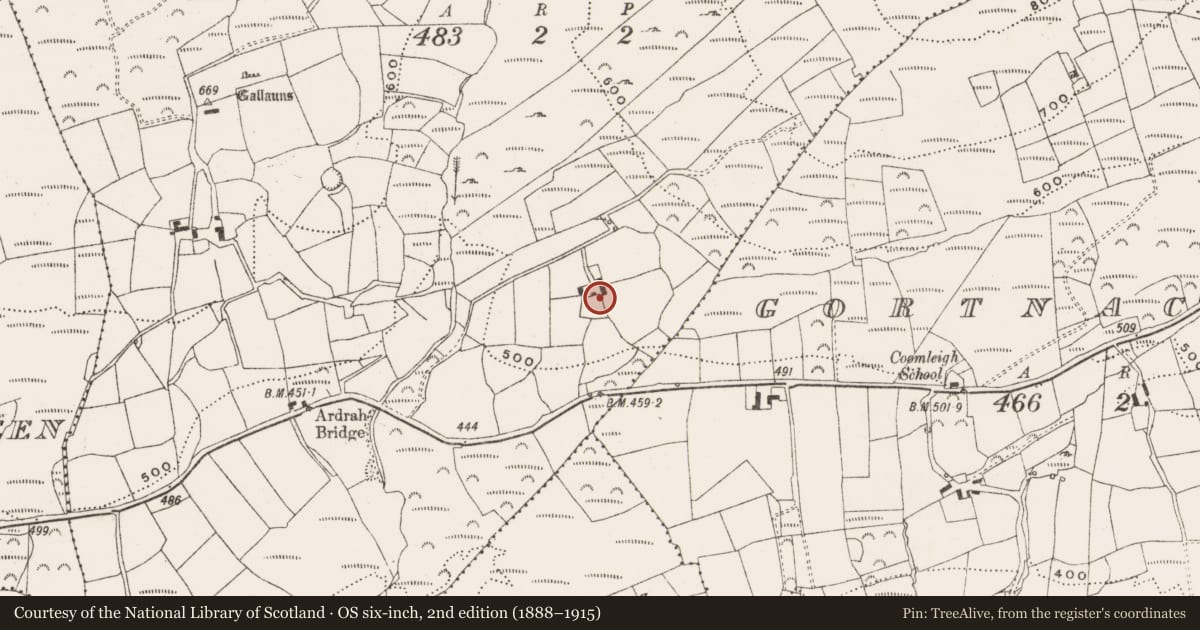Ordnance Survey six-inch map, 2nd edition (1888–1915) covering the location of Souterrain, Ardrah, County Cork, with a pin at the register's coordinates