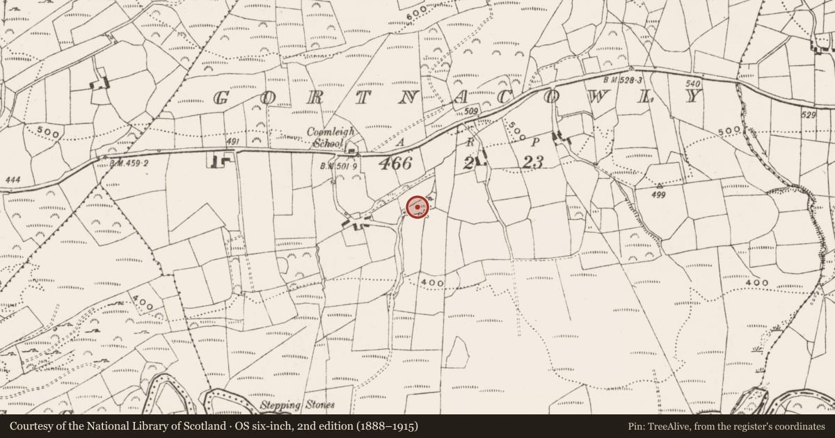 Ordnance Survey six-inch map, 2nd edition (1888–1915) covering the location of Memorial stone, Gortnacowly, County Cork, with a pin at the register's coordinates