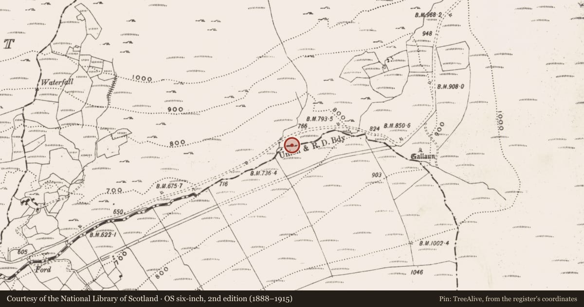 Ordnance Survey six-inch map, 2nd edition (1888–1915) covering the location of Hut site, Goulacullin, County Cork, with a pin at the register's coordinates