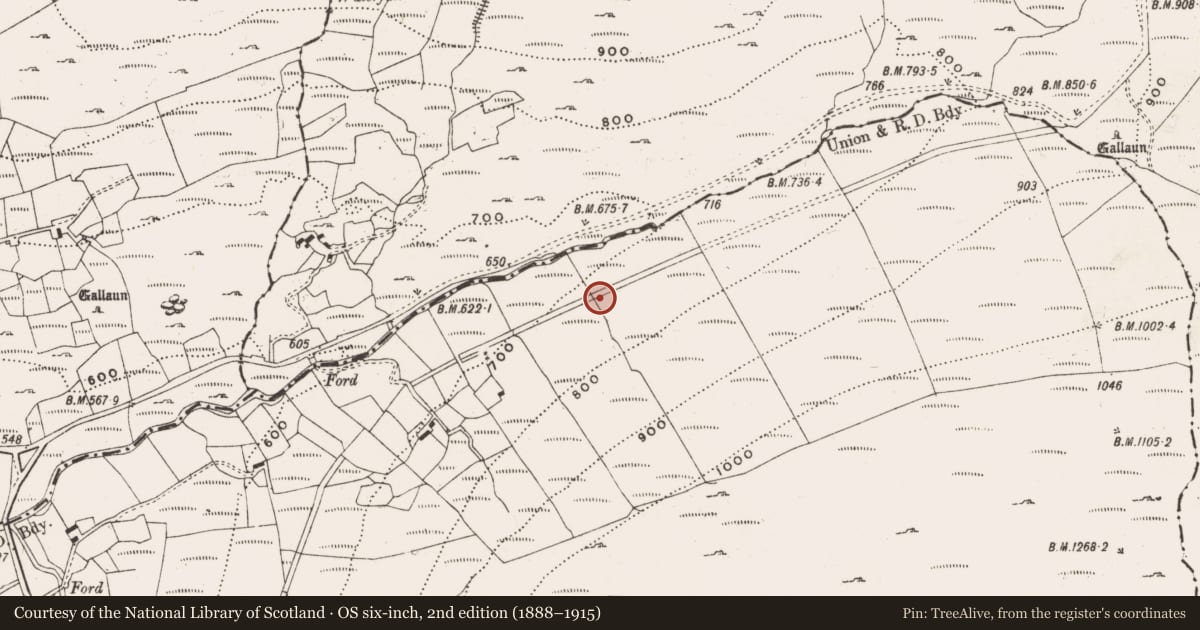 Ordnance Survey six-inch map, 2nd edition (1888–1915) covering the location of Road - road/trackway, Barnagowlane East, County Cork, with a pin at the register's coordinates