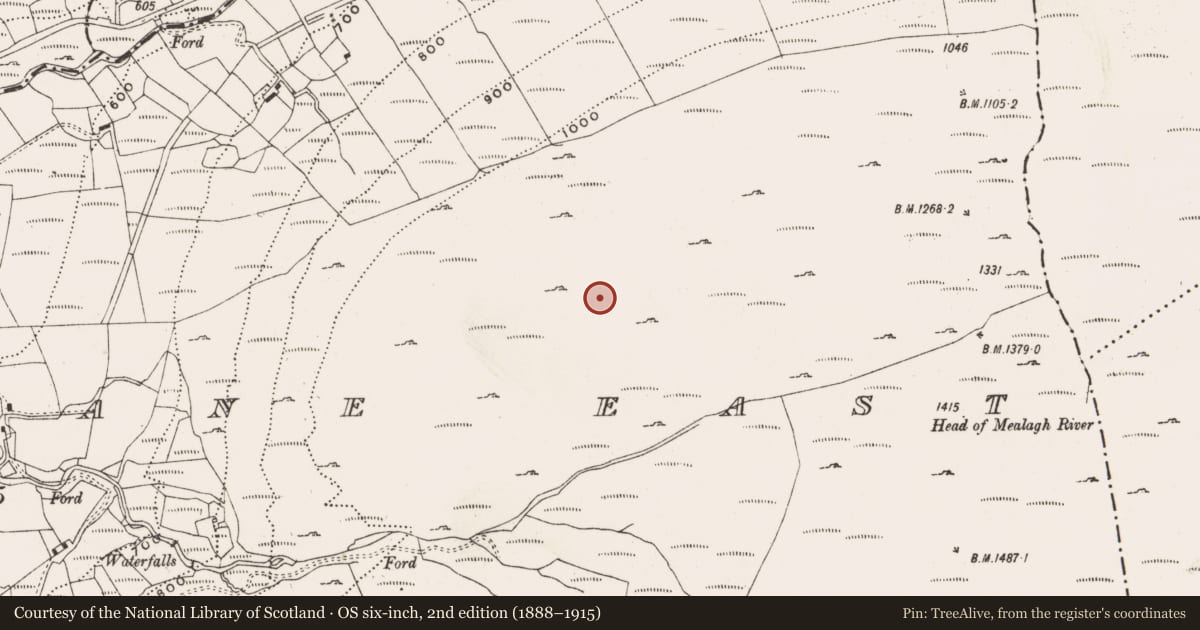 Ordnance Survey six-inch map, 2nd edition (1888–1915) covering the location of Hut site, Barnagowlane East, County Cork, with a pin at the register's coordinates