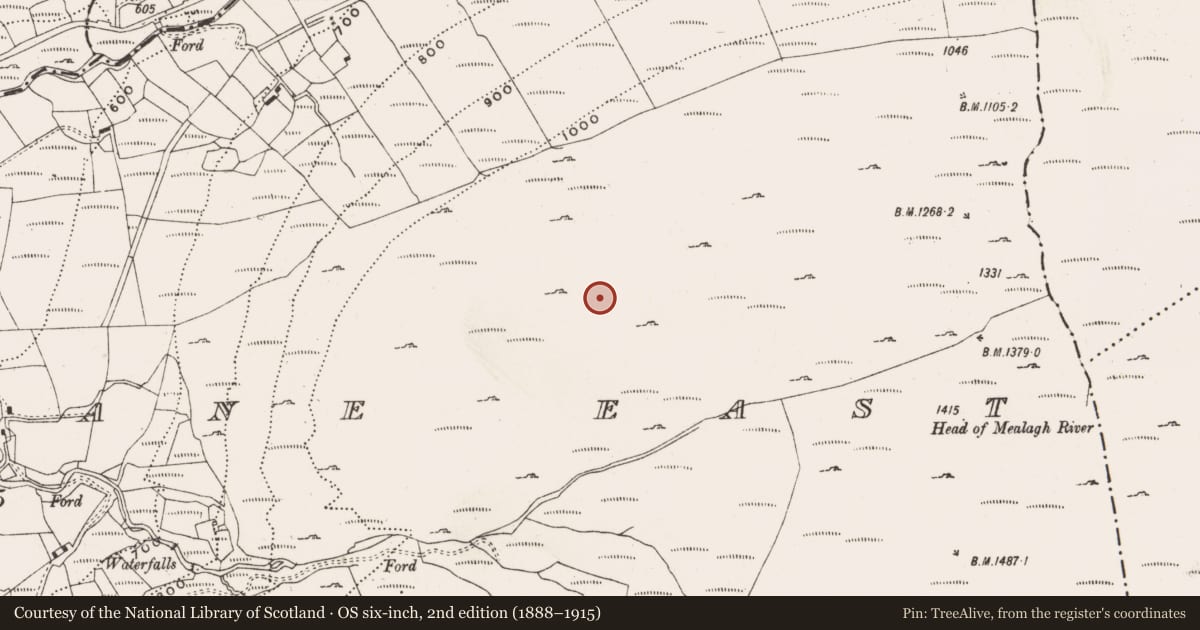 Ordnance Survey six-inch map, 2nd edition (1888–1915) covering the location of Enclosure, Barnagowlane East, County Cork, with a pin at the register's coordinates
