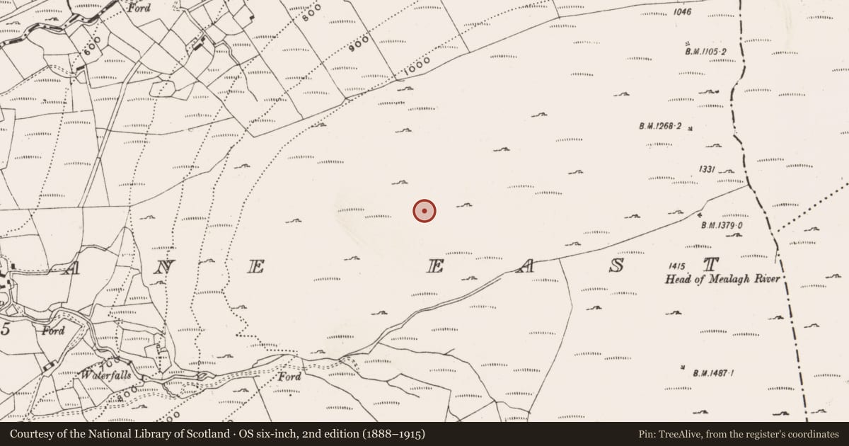 Ordnance Survey six-inch map, 2nd edition (1888–1915) covering the location of Hut site, Barnagowlane East, County Cork, with a pin at the register's coordinates