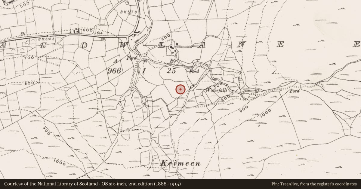 Ordnance Survey six-inch map, 2nd edition (1888–1915) covering the location of Standing stone, Barnagowlane East, County Cork, with a pin at the register's coordinates