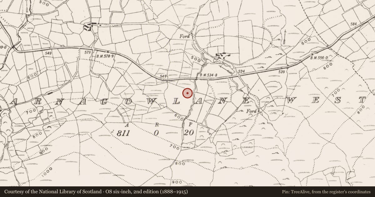 Ordnance Survey six-inch map, 2nd edition (1888–1915) covering the location of Fulacht fia, Barnagowlane West, County Cork, with a pin at the register's coordinates