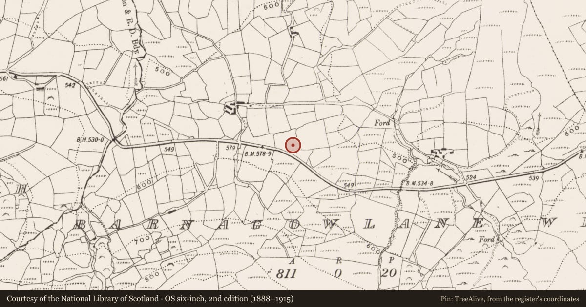 Ordnance Survey six-inch map, 2nd edition (1888–1915) covering the location of Well, Barnagowlane West, County Cork, with a pin at the register's coordinates