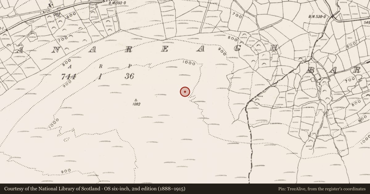 Ordnance Survey six-inch map, 2nd edition (1888–1915) covering the location of Enclosure, Glanareagh, County Cork, with a pin at the register's coordinates