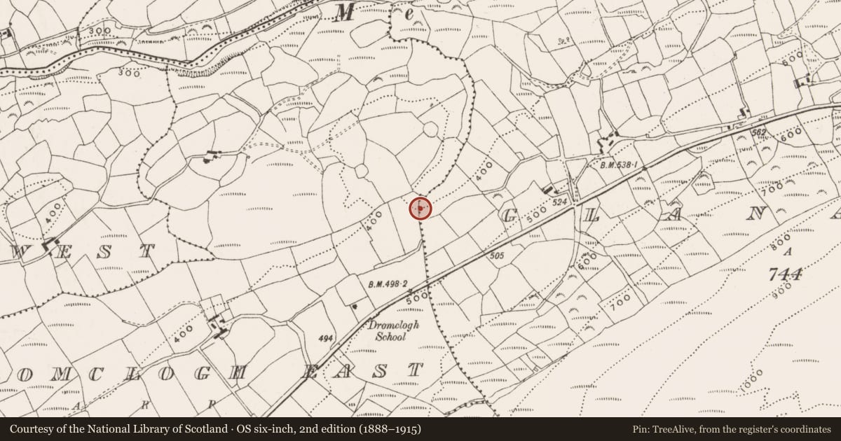 Ordnance Survey six-inch map, 2nd edition (1888–1915) covering the location of Burnt mound, Glanareagh, County Cork, with a pin at the register's coordinates