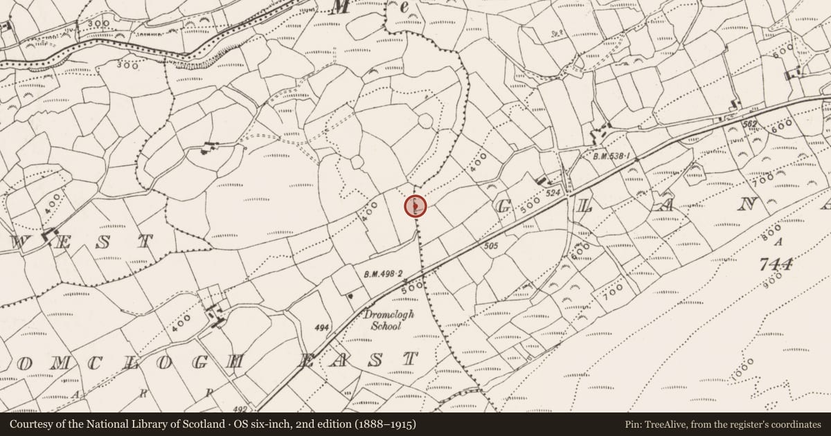 Ordnance Survey six-inch map, 2nd edition (1888–1915) covering the location of Burnt mound, Glanareagh, County Cork, with a pin at the register's coordinates