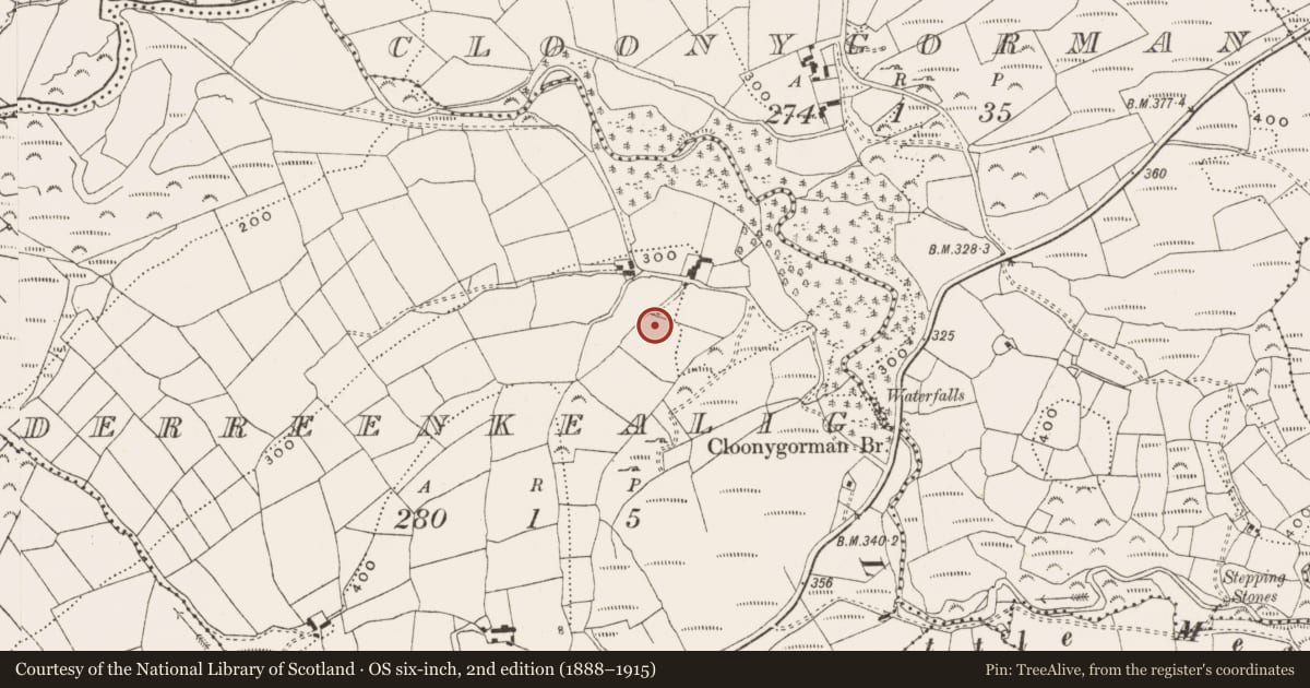 Ordnance Survey six-inch map, 2nd edition (1888–1915) covering the location of Ritual site - holy well, Derreenkealig, County Cork, with a pin at the register's coordinates