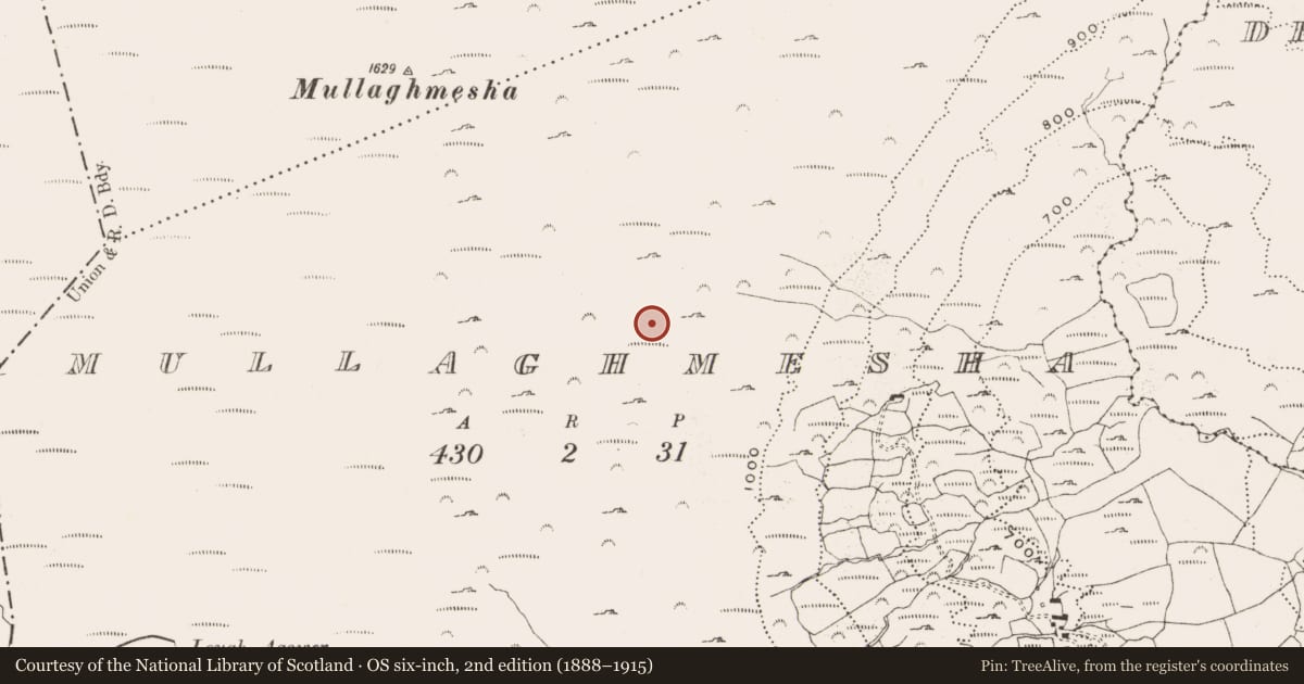 Ordnance Survey six-inch map, 2nd edition (1888–1915) covering the location of Hut site, Mullaghmesha, County Cork, with a pin at the register's coordinates