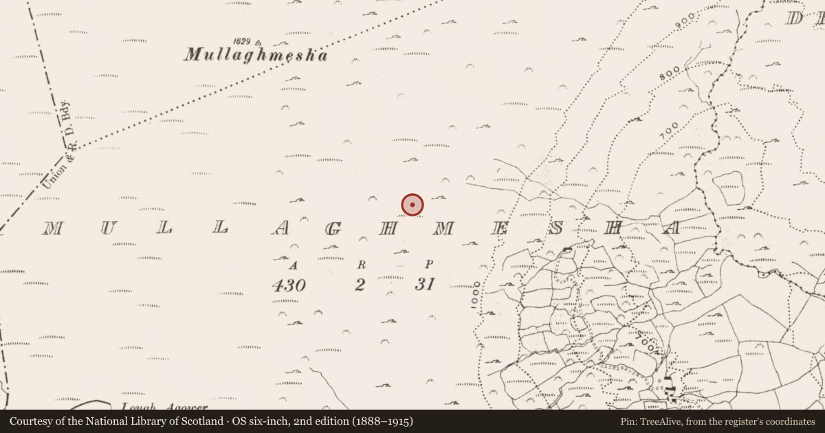 Ordnance Survey six-inch map, 2nd edition (1888–1915) covering the location of Hut site, Mullaghmesha, County Cork, with a pin at the register's coordinates